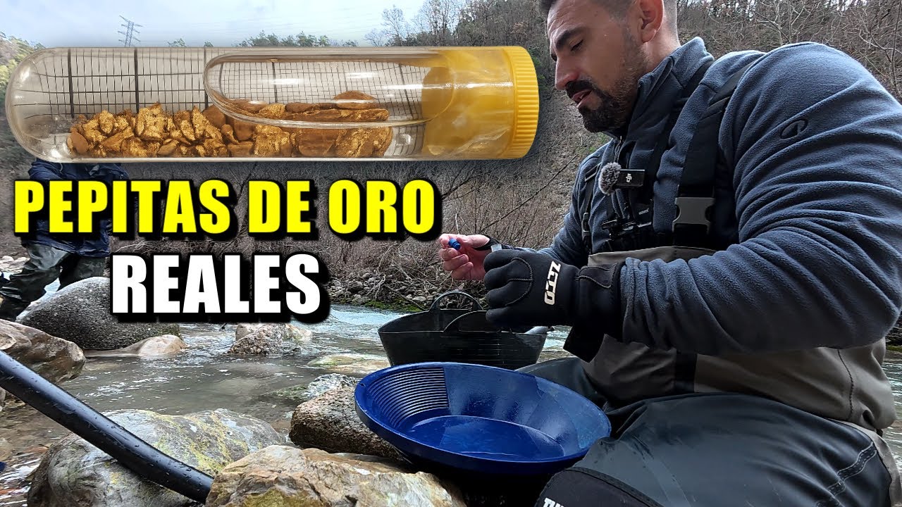 ENCUENTRO PEPITAS DE ORO EN EL LECHO DE ROCA | ORO REAL