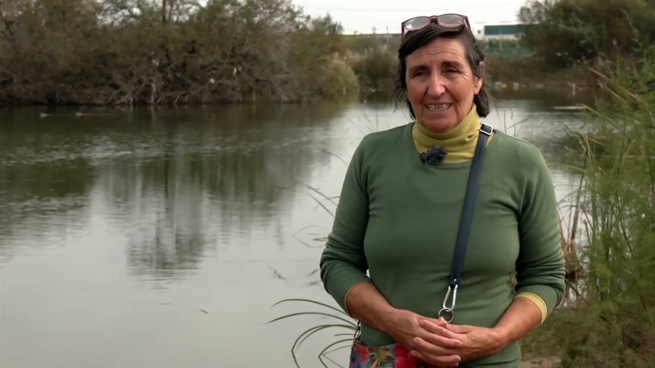 Conocemos el estado de las Lagunas de Bonanza, en Sanlúcar de Barrameda, declaradas espacio natural