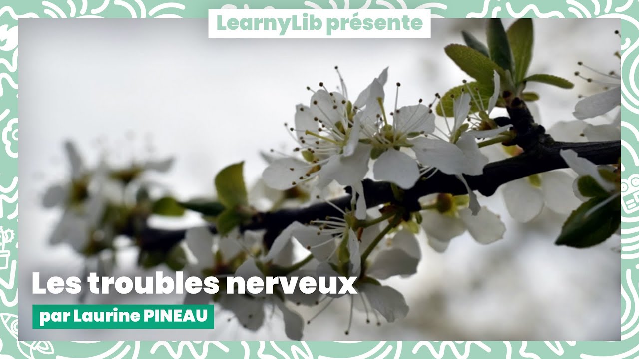 💊 La gemmothérapie : les troubles nerveux avec Laurine PINEAU