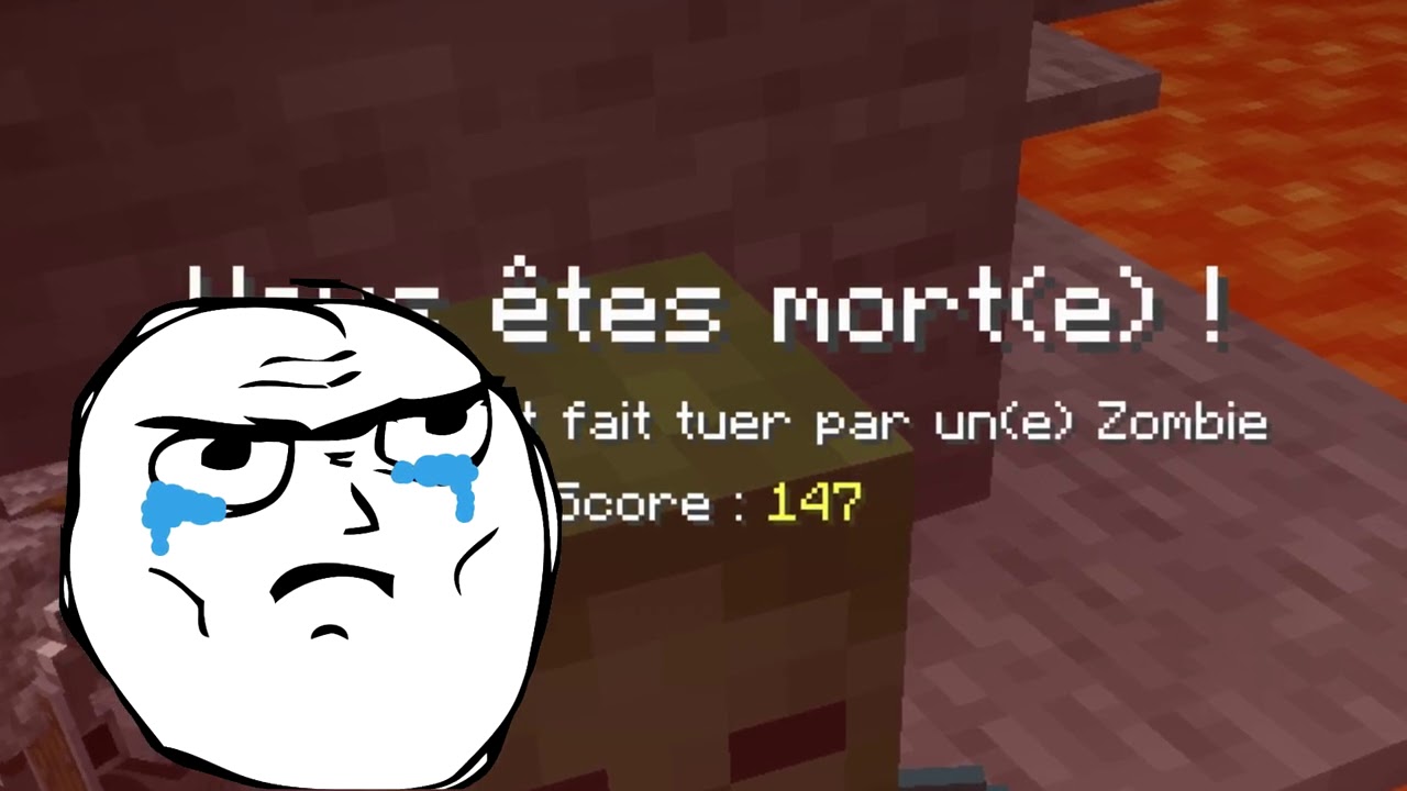 Minecraft mais c'est une Compilation de Ninjaxx..