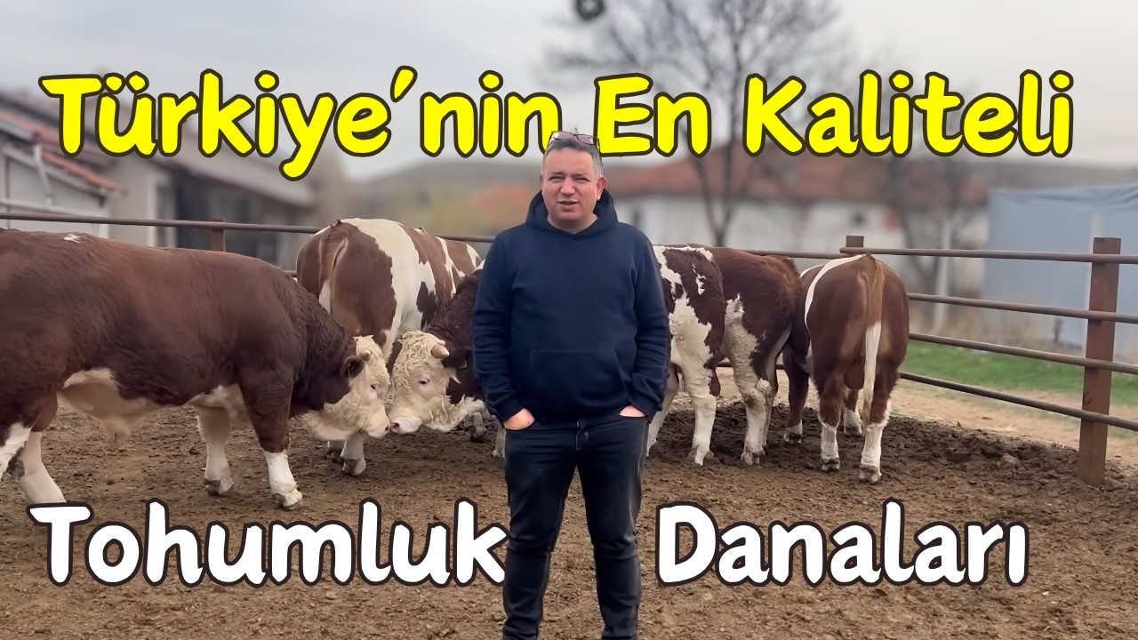 Tohumluk danaların pazarlığını bitirdik!