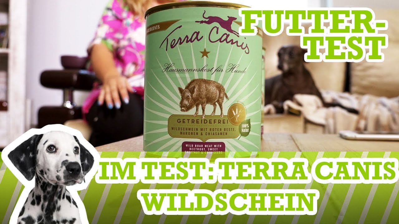 Futtertest Terra Canis Wildschwein, Rote Beete, Maronen & Chiasamen (Nassfutter)
