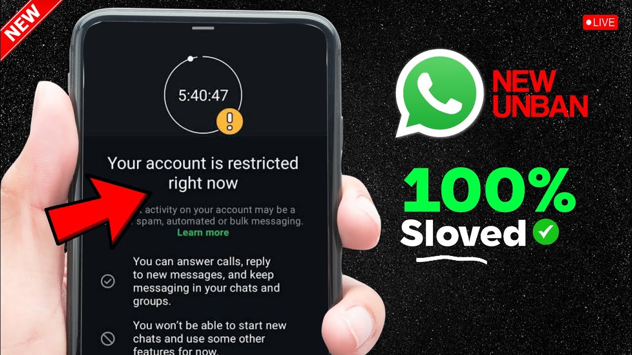 WhatsApp: ваш аккаунт сейчас ограничен | Решение проблемы с ограниченным доступом к аккаунту What...