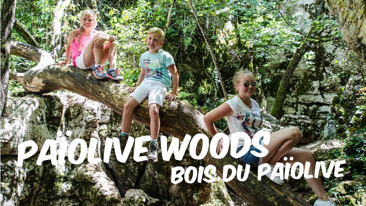 Betoverende Wandeling in Bois de Pa&iuml;olive 🌳✨ Natuurpracht in de Ard&egrave;che!