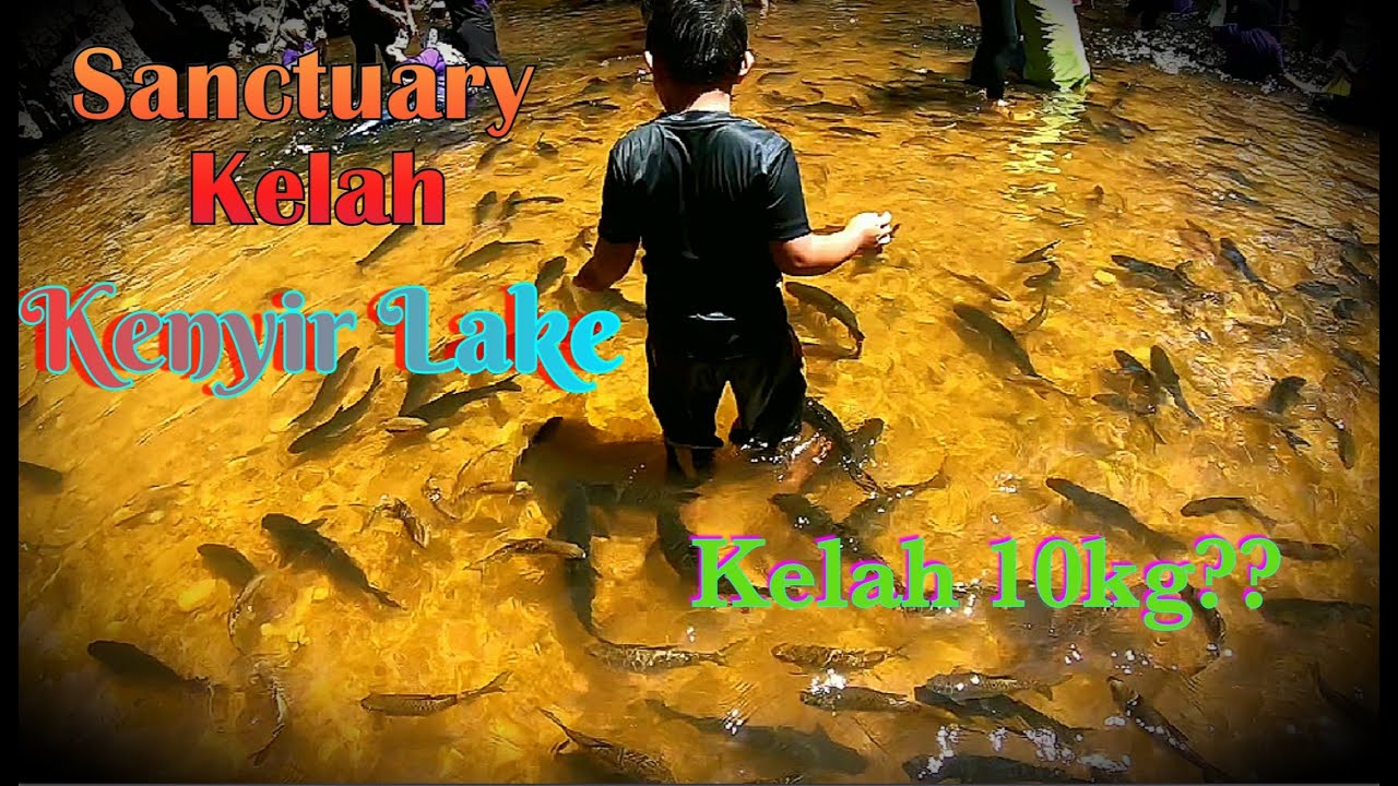 #gopro #houseboat #boatinglifestyle KENYIR LAKE, TERENGGANU DARUL IMAN|KELAH SANCTUARY