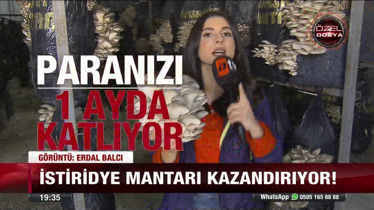 İstiridye mantarı paranızı katlıyor - 21 Mart 2018