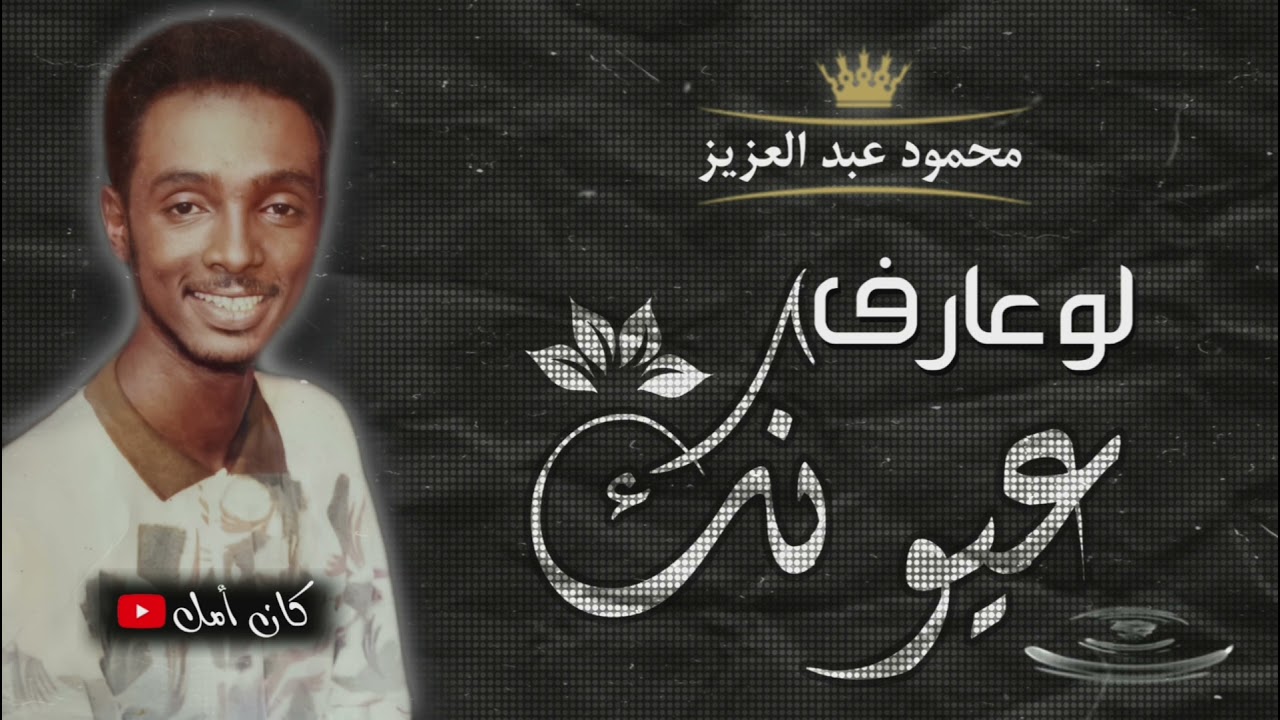محمود عبدالعزيز || لو عارف عيونك || النّورَس 1993