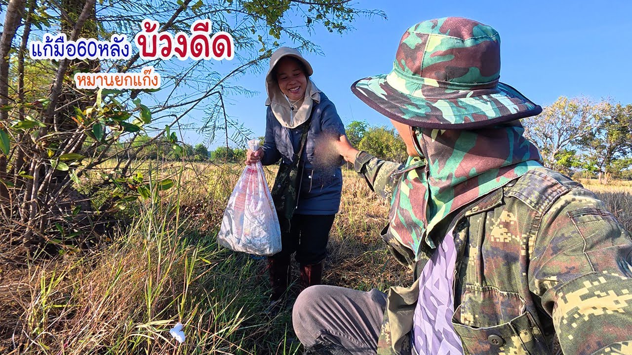 โดนยกแก๊งกับบ้วงดีด 60 หลัง หาหนูนอนทุ่งนัดล้างตา