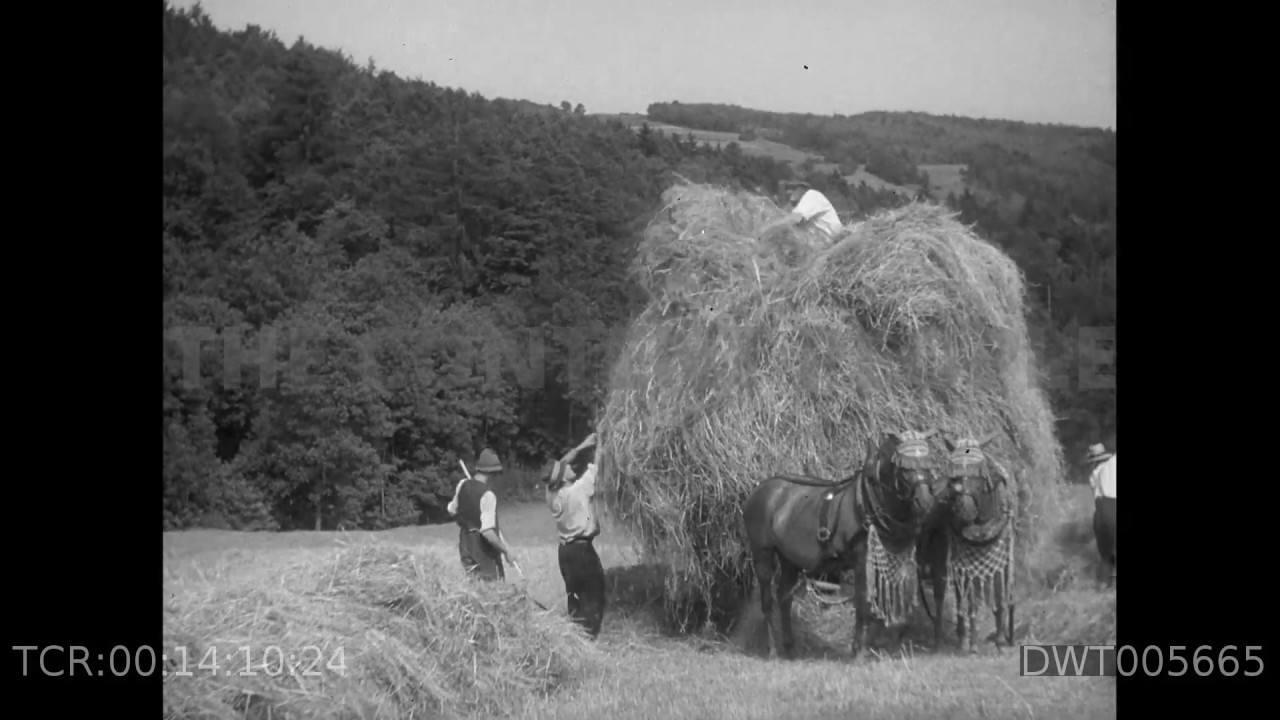 3. Reich, Agrar-Propagandafilm/3rd Reich, Agriculture propaganda film (LieberenzCollection)