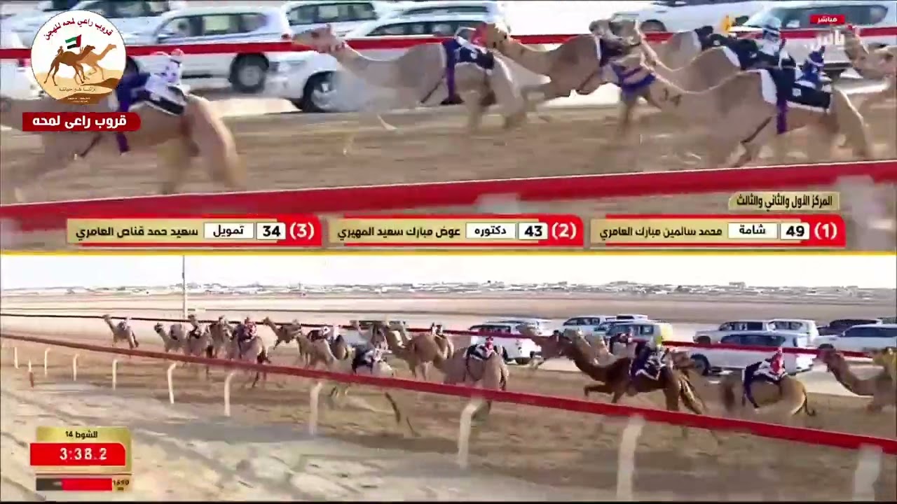 الشوط 14..عصرية لـ حمد سالم سليم العامري 5:52:49( مهرجان ختامي الوثبة 2026 )