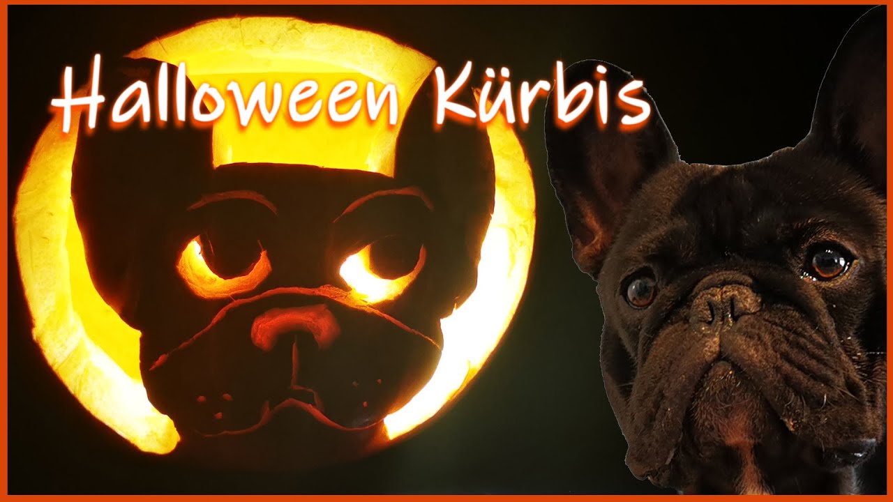 Halloweenkürbis mit Frenchie-Motiv