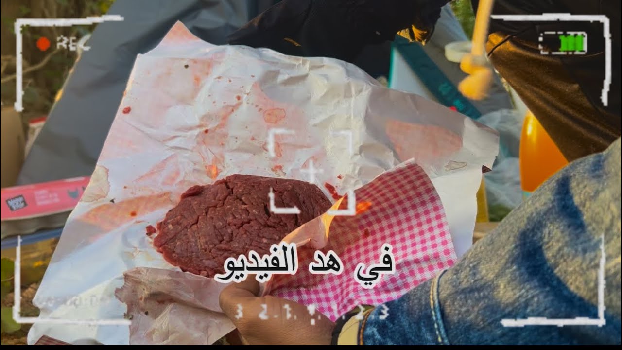 16 اليوم ونا في الغابه تحت البرد 🇧🇪❄️⛺️ في خيمه