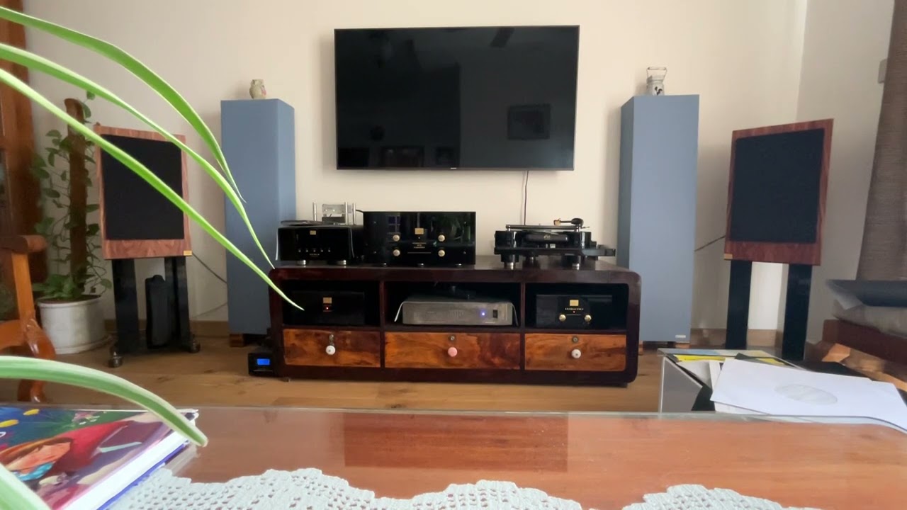 AudioNote TT3 IOGold - Music healing