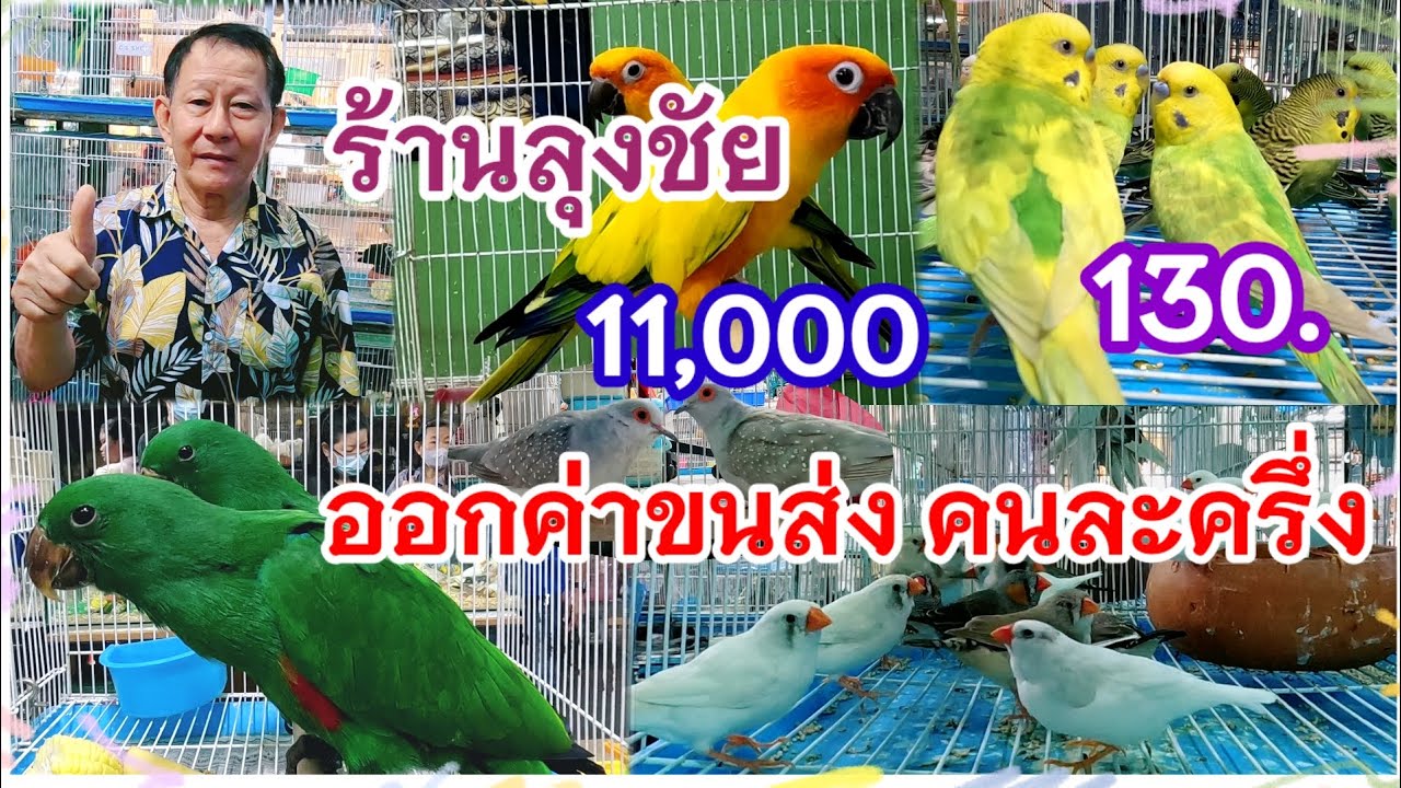 อัปเดตราคานก ร้านลุงชัย นกเยอะ ส่ง-ปลีก ออกค่าส่ง คนละครึ่ง สนามหลวง2
