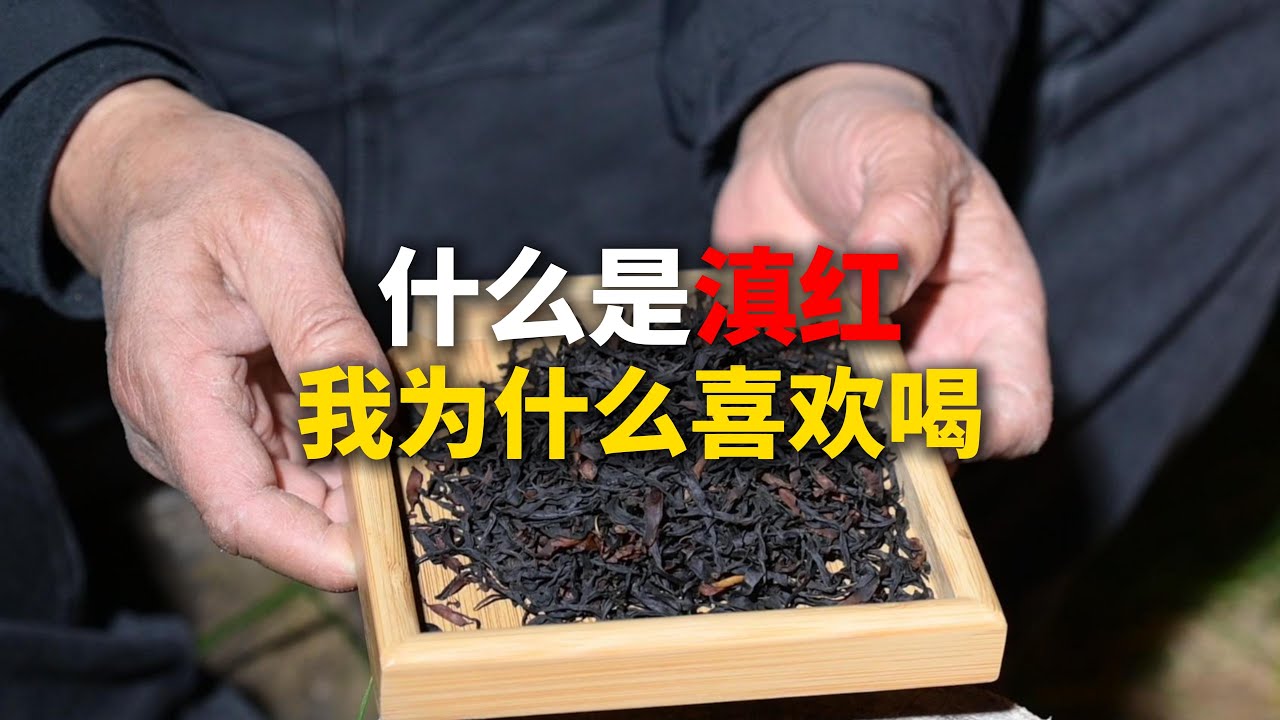 什么是滇红，我为什么喜欢喝