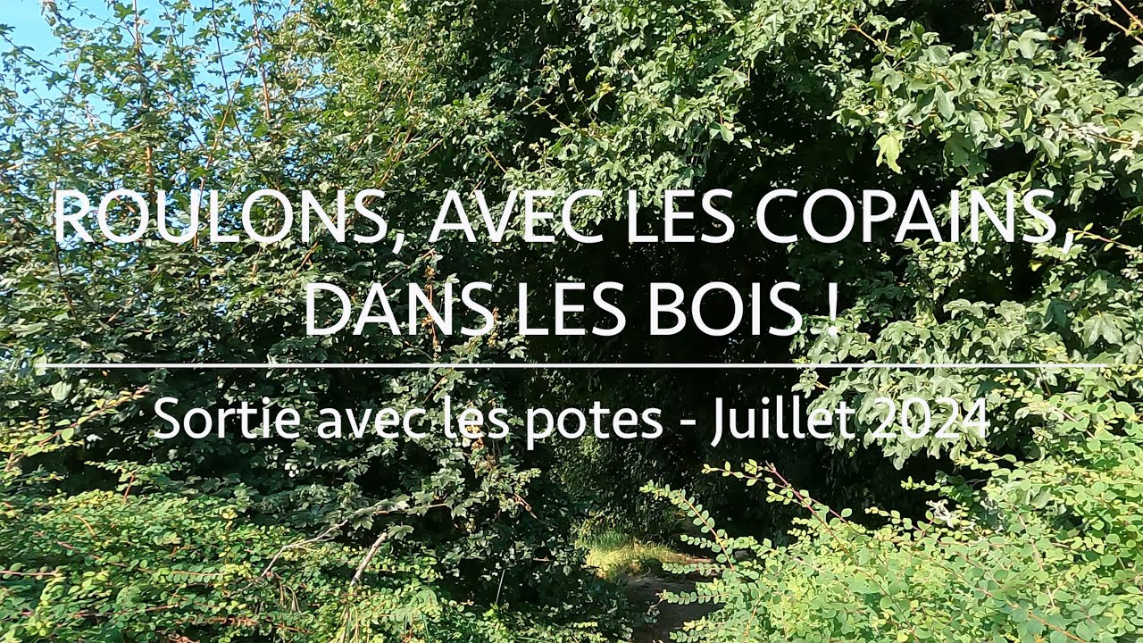 Roulons, avec les copains, dans les bois !