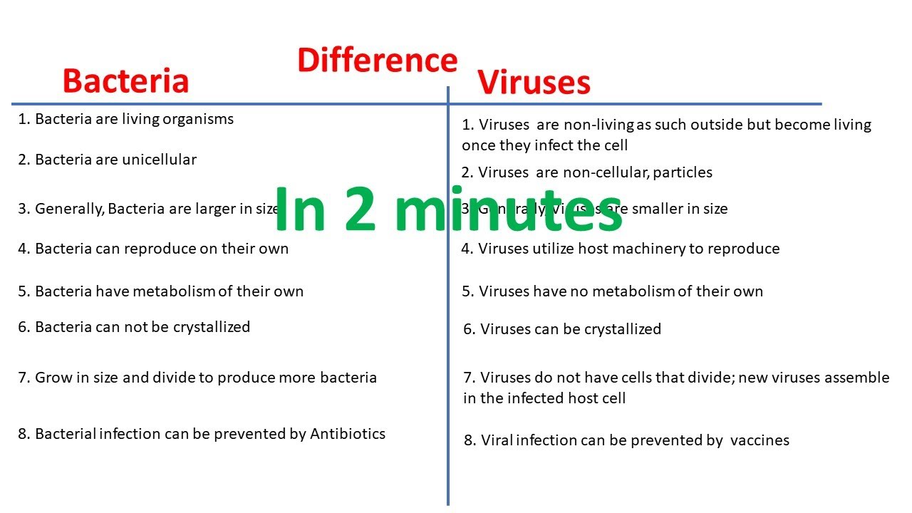 Difference between Bacteria and Virus | Bacteria vs Virus |