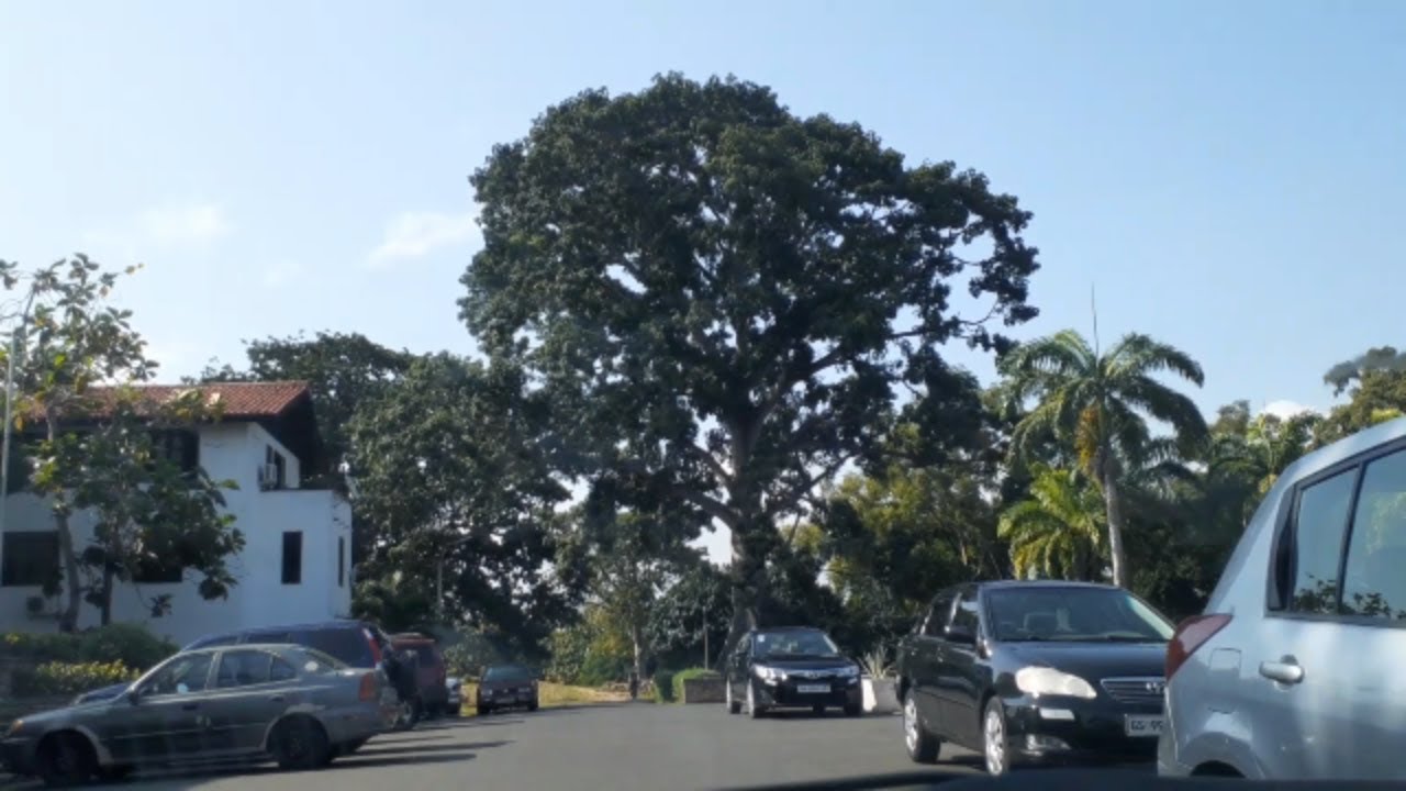 Ghana Vlog 2019: Driving To Legon Campus| University Of Ghana