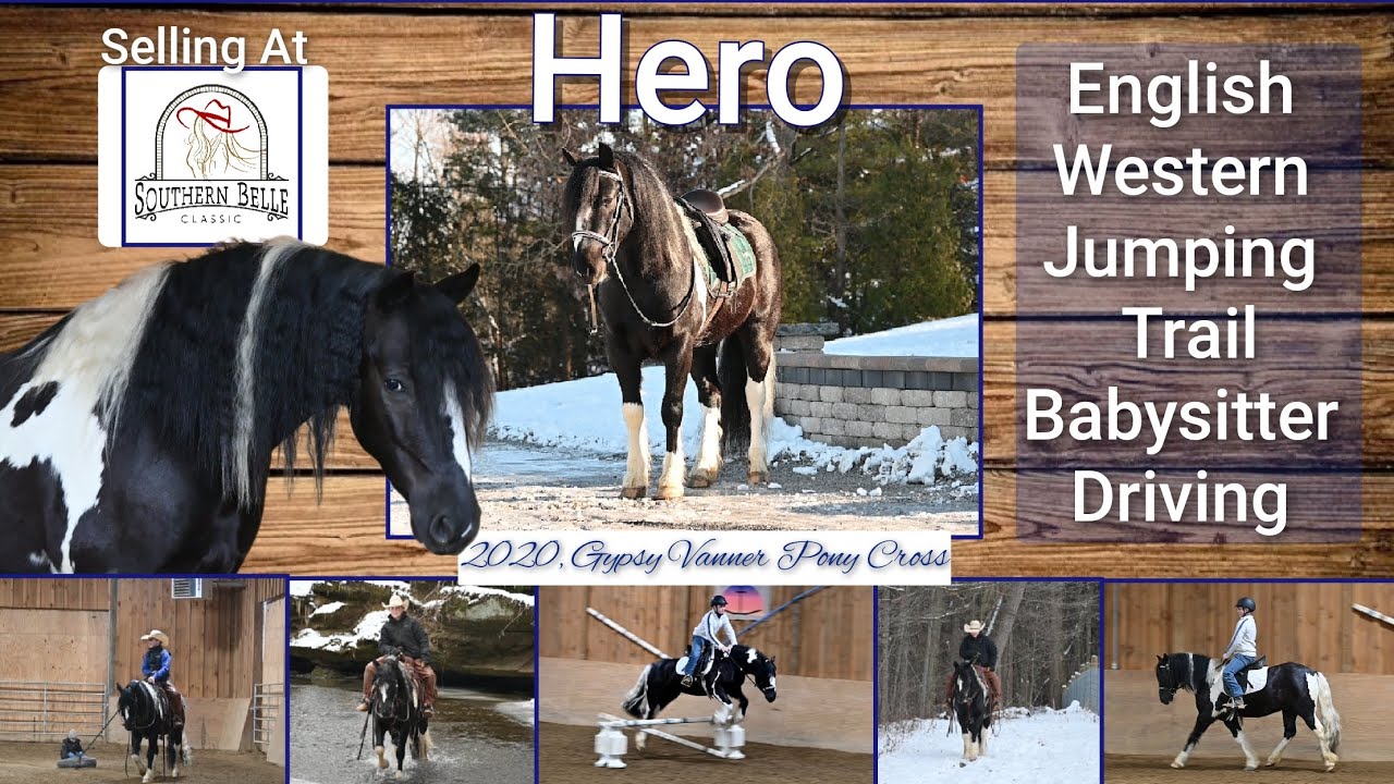 💎Hero💎 Offered at the Southern Belle Classic March 28th in Aiken SC 