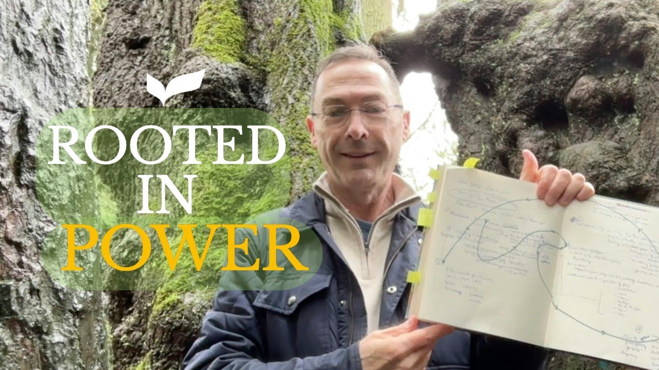 Tree Wisdom | Finding Strength in Uncertain Times