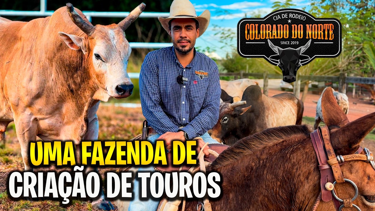 Visitando a fazenda da CIA COLORADO DO NORTE: Touros e a Paixão pelo Rodeio