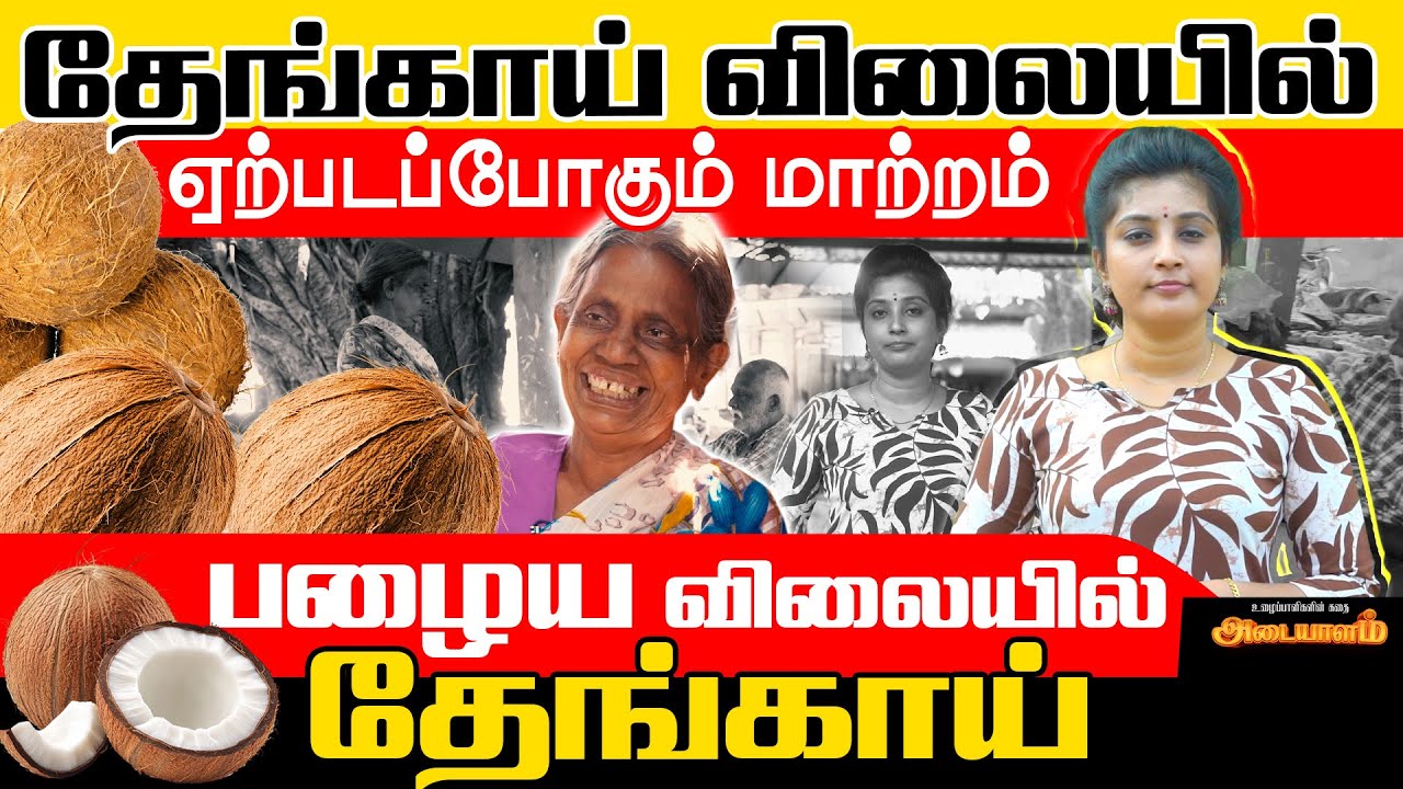 தேங்காய் விலையில் ஏற்படப்போகும் மாற்றம்  | Adaiyalam