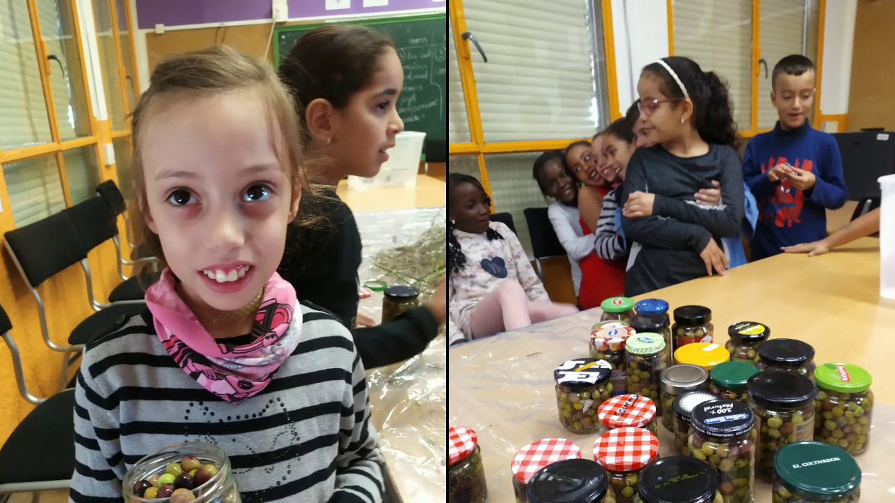 Quines Arbequines!  Taller d'olives amb  L'Alzina