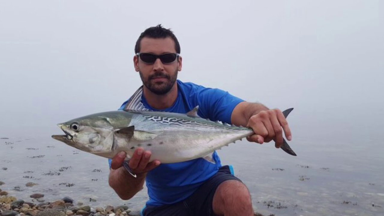 DemBoyz @ Martha's Vineyard 17'