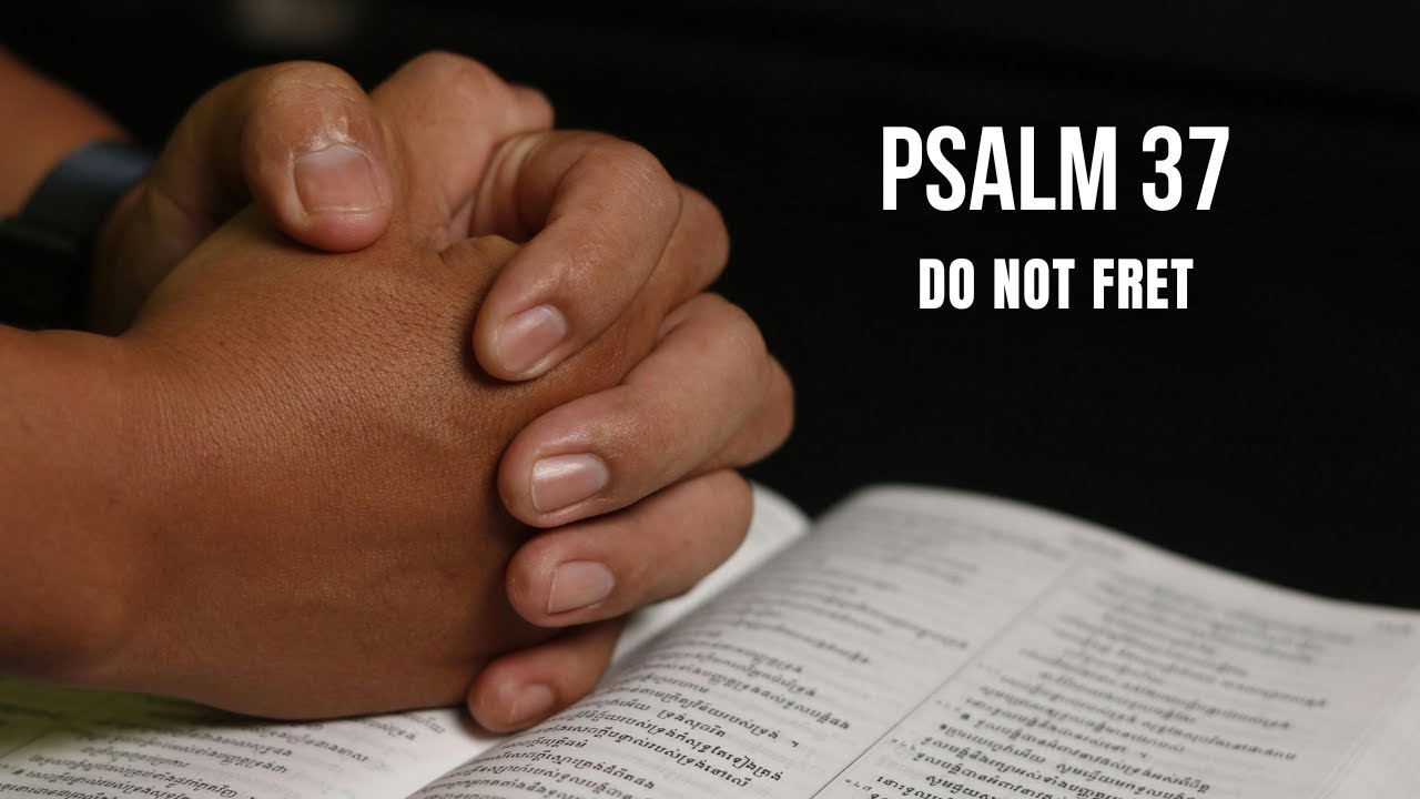 Feeling Left Behind? Psalm 37 Will Set You Free.  #psalm37 #trustgod  #ChristianEncouragement