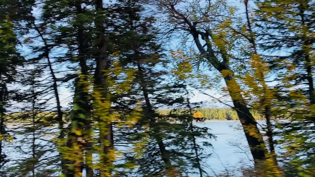 AMAZING AUTUMN IN ALASKA VIEWS || LIFE IN THE COUNTRYSIDE