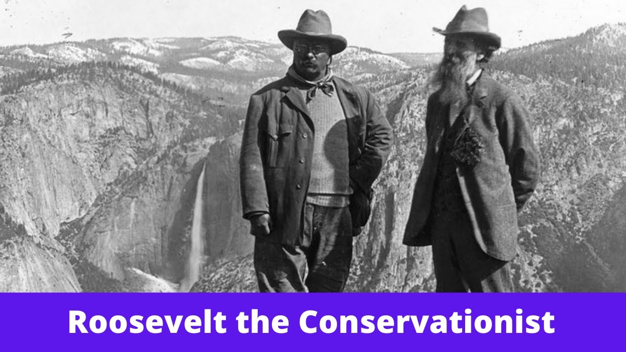 History Brief: Roosevelt the Conservationist