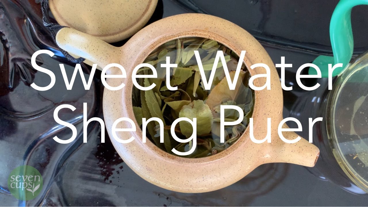 Tian Shui (Sweet Water) Sheng Puer - A Traditional Style Old Growth Puer