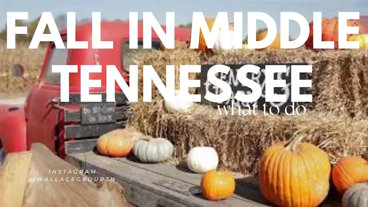 Ultimate Fall Foliage Tour in Tennessee | Best places to see Autumn Colors