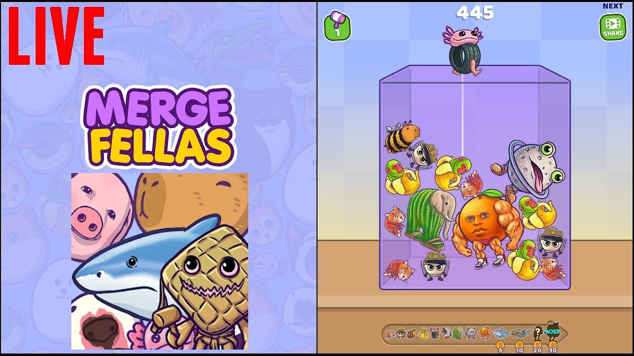 Merge Fellas #mergefellaslive #mergefellasgame #mergefellasnewupdate #6 #live
