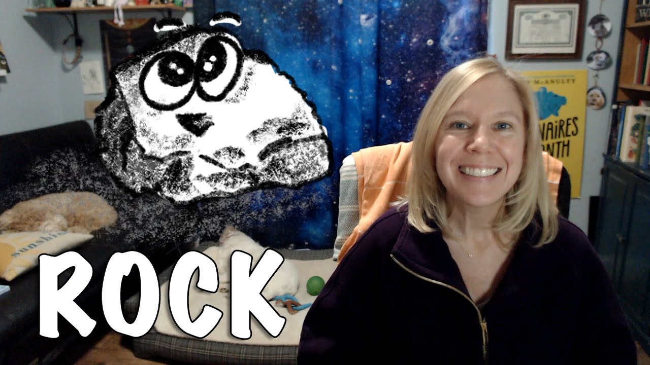 ROCK - a story (but not a picture book) by Stacy McAnulty