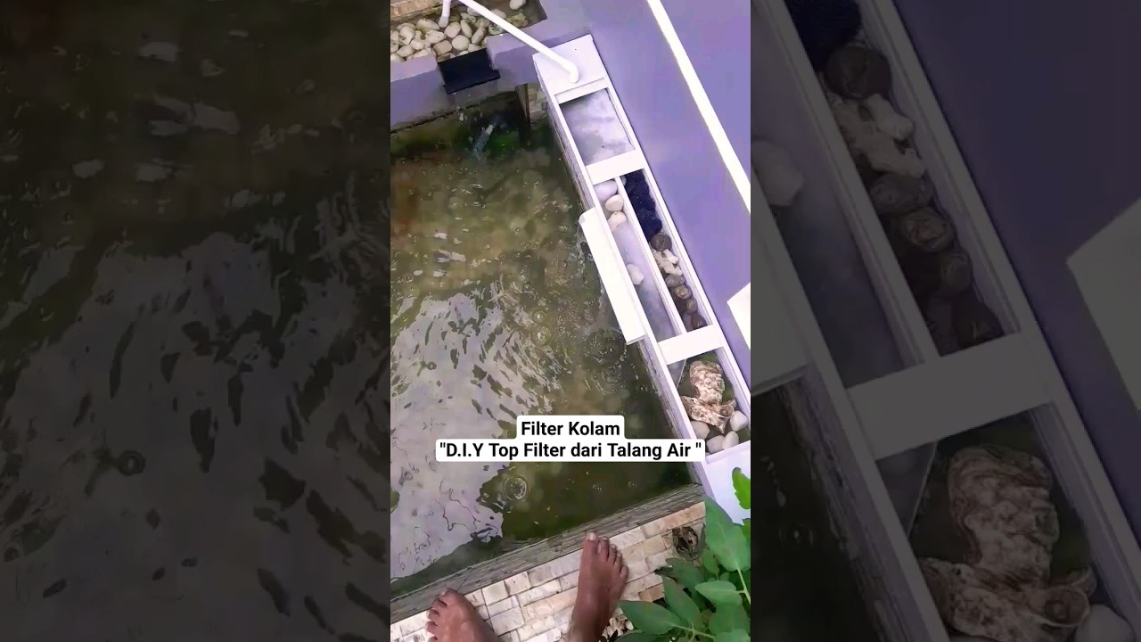 Filter talang air untuk kolam #diy #topfilter #shorts