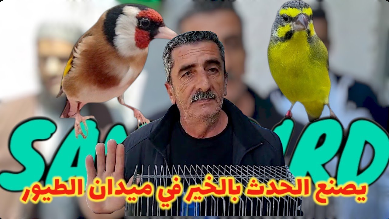 يوميات عمي رابح ف الحراش رودومال | مربي الطيور يقصدونه من كل جهة