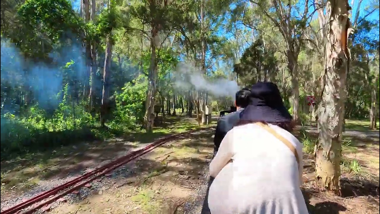 Nurragingy Miniature Railway Ride | Feb 2025