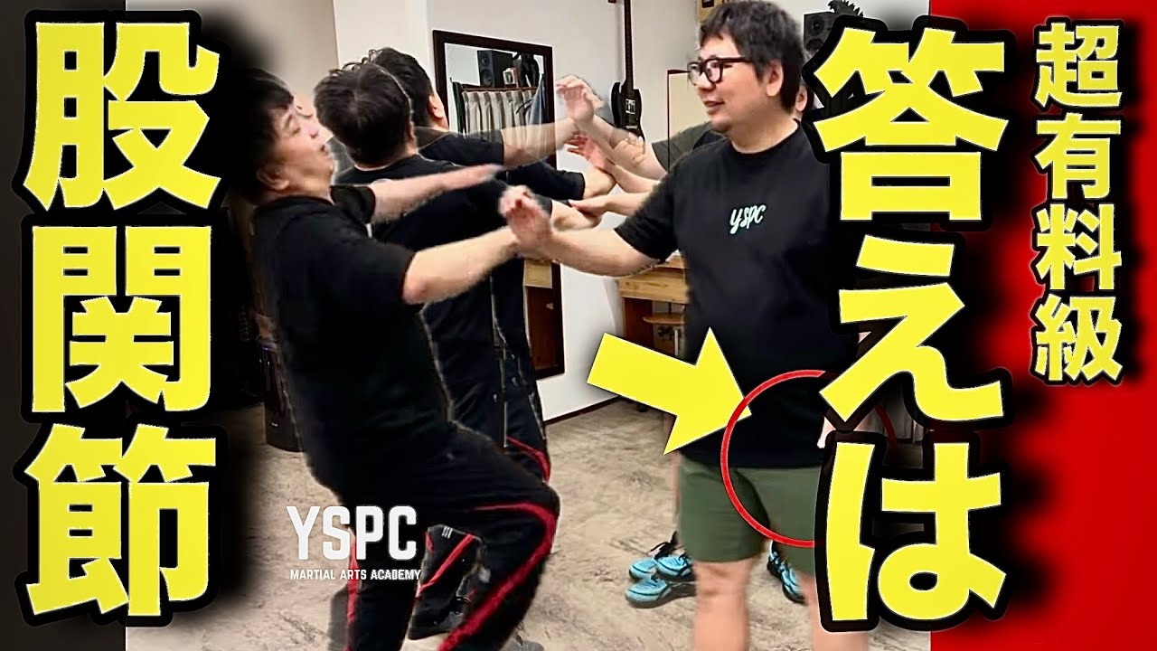 【超有料級】「腰を落とす」武道で相手を浮かすために必要な股関節 ｜YSPC渡邊康人@YSPCMartialArtsAcademy ｜#合気 #合気道 #達人技 #武道の物理 #武術の物理