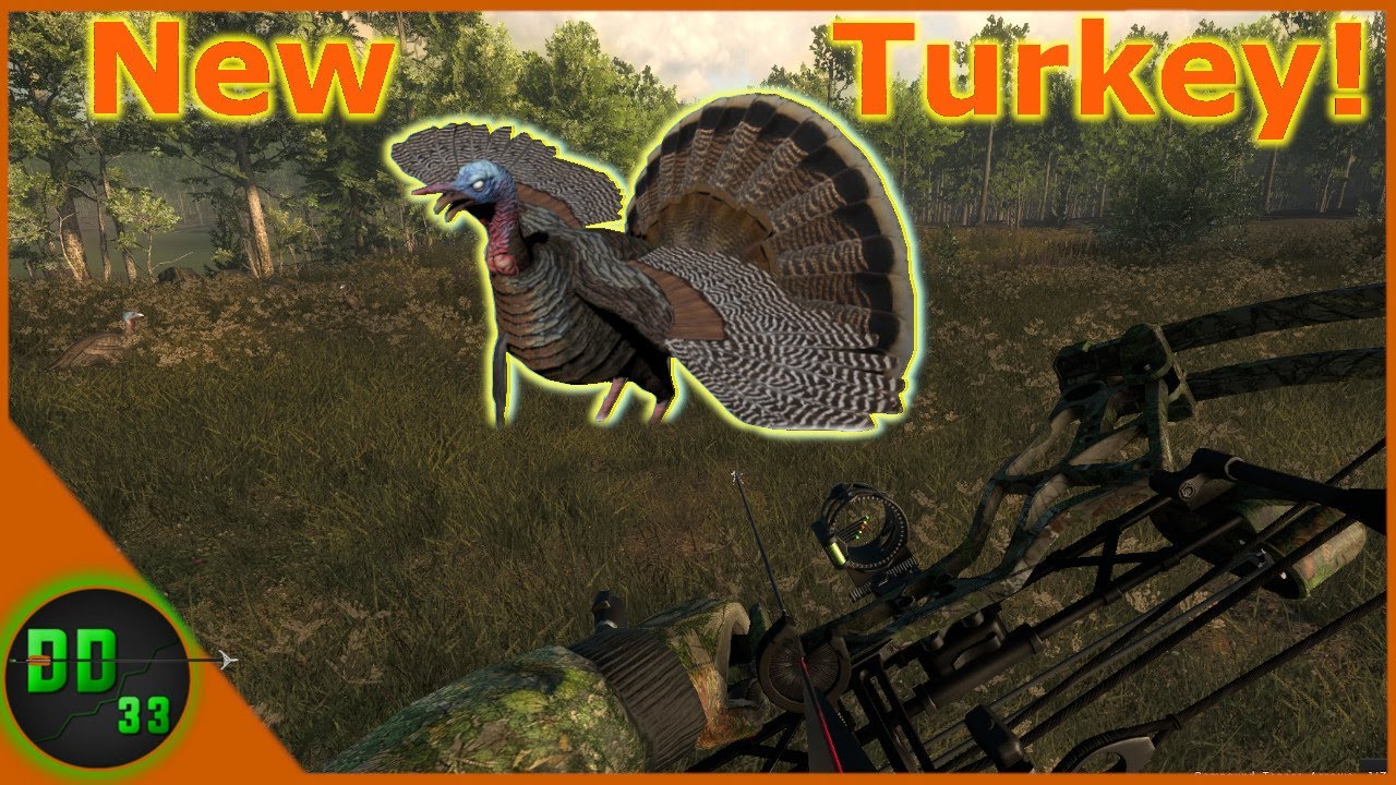 Hunting for the New Turkey!! TheHunter 2020