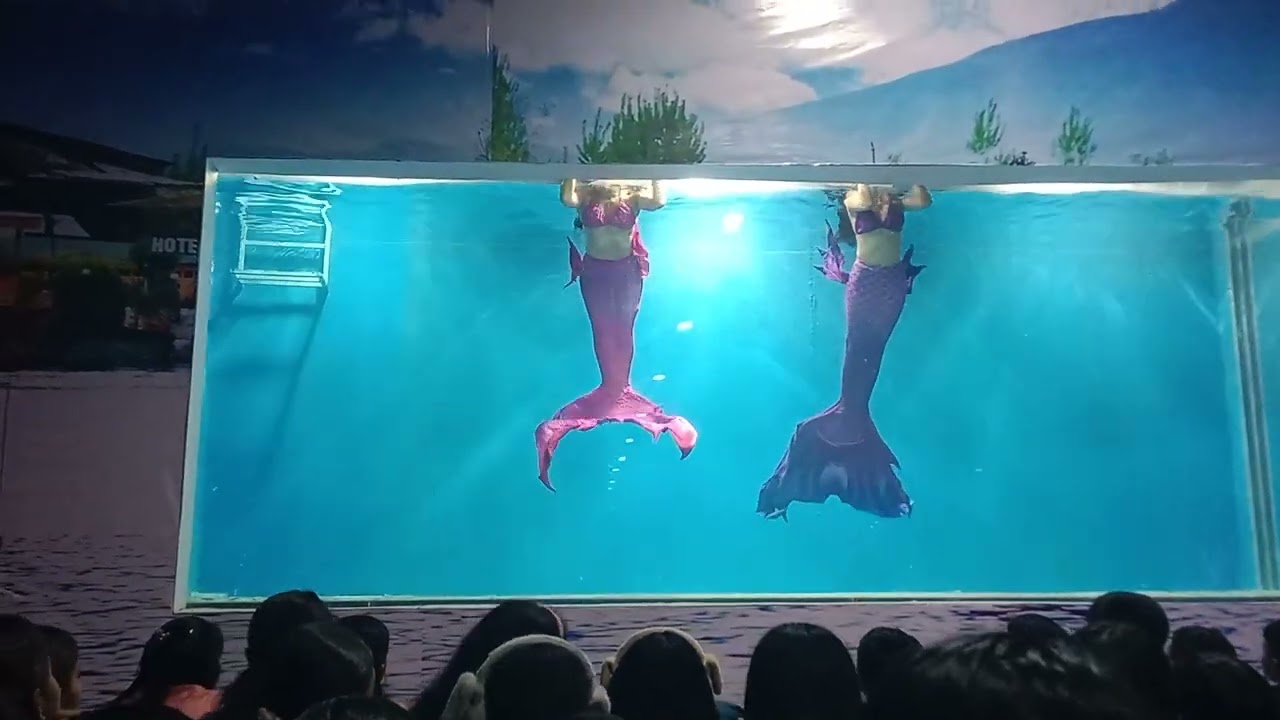Dwarka water park Jalpari show|№jalpari#dwarka..