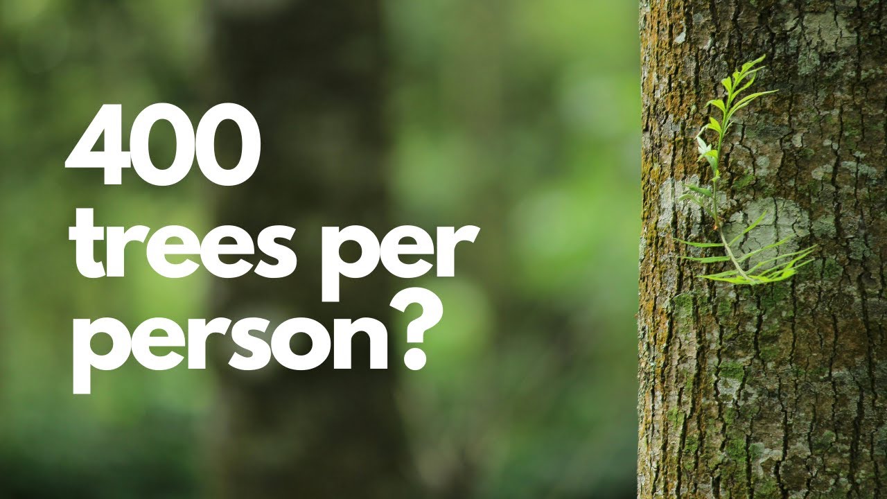 400 trees per person?