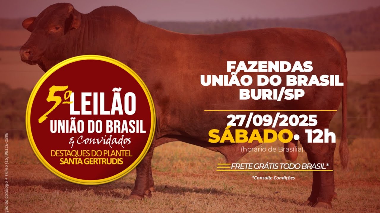 5&ordm; LEIL&Atilde;O UNI&Atilde;O DO BRASIL & CONVIDADOS