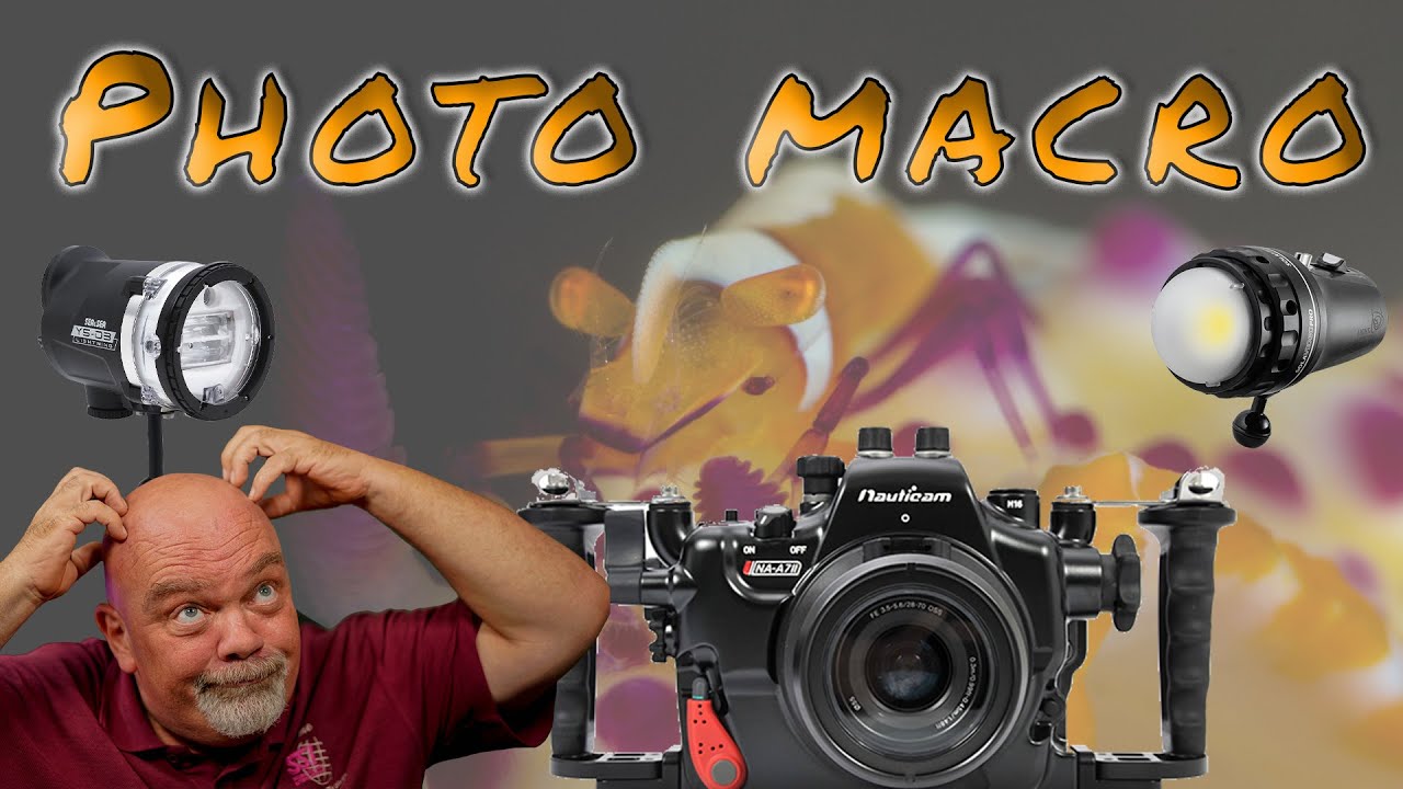 Comment faire des photos macro sous marines