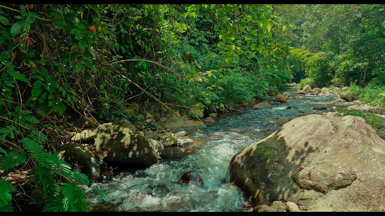 🌿Relax Your Mind for Better Sleep with Clear River Water Over Natural Rocks