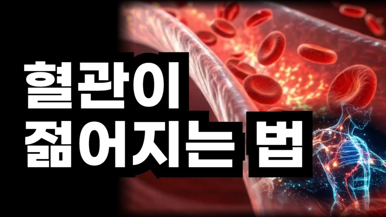 100년이 지나도 건강한 혈관 만들기   혈관이 젊어지는 것 바로 이것 하루 5분만 투자하세요