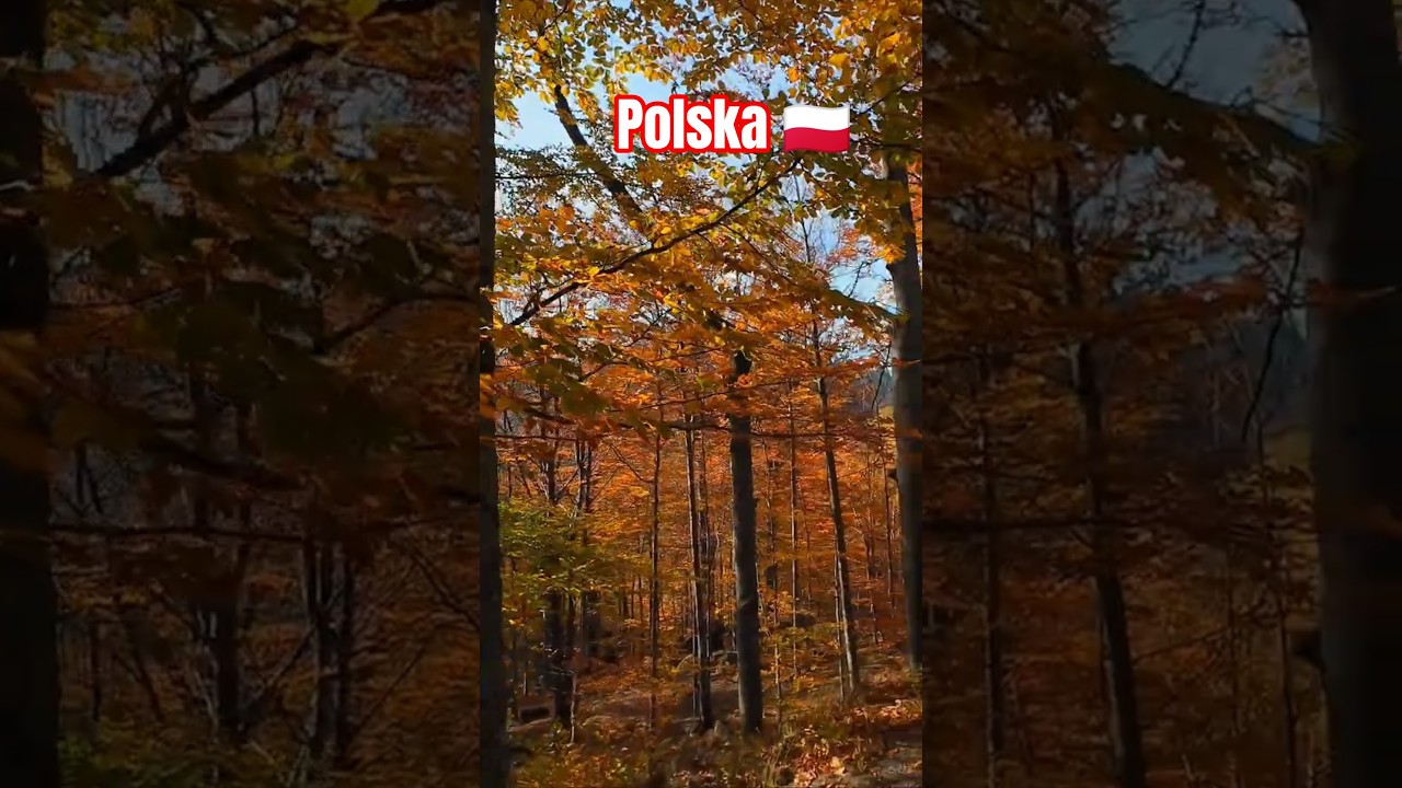 Złota jesień. Rudawy Janowickie. Uczta dla oczu. 🇵🇱