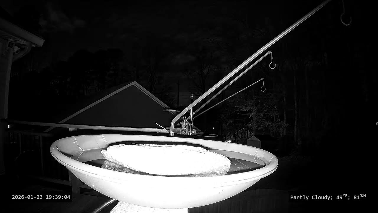 Deck Cam - Pre-Spring Camera Test