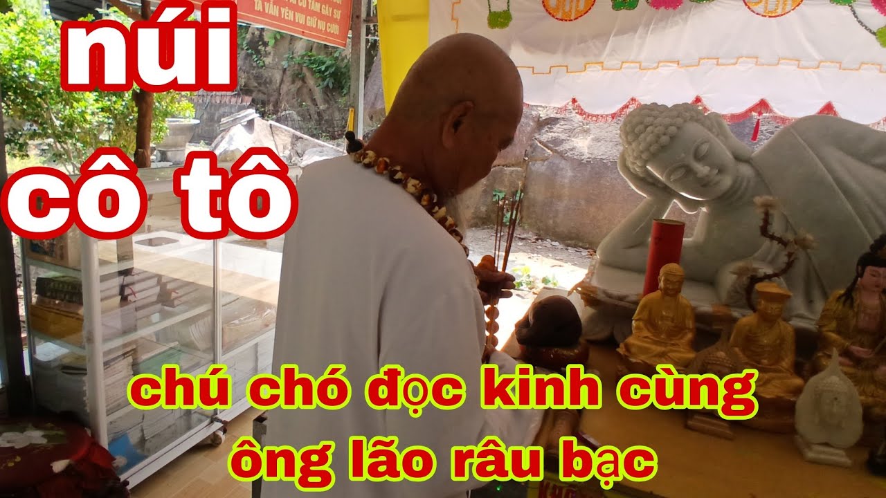 Độc là vù bảy núi chú chó đọc kinh cùng ông lão râu bạc tại chân núi cô tô tỉnh an Giang