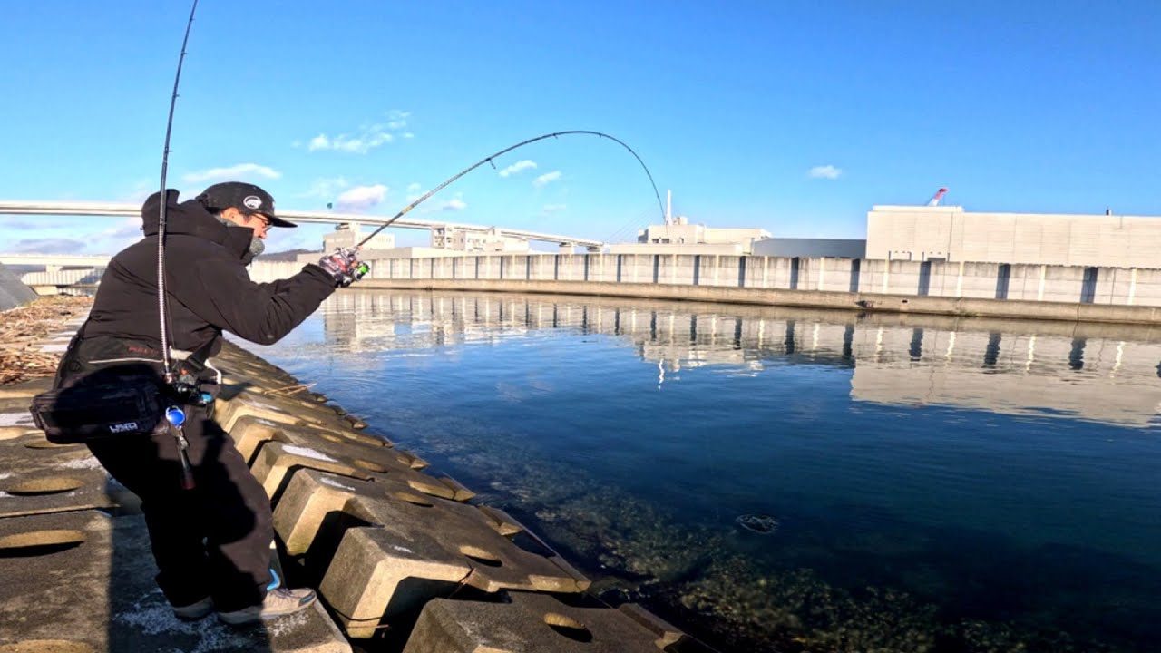 【アイナメ】水深1mの超浅瀬でアイナメが爆釣しました！東北アイナメ釣行